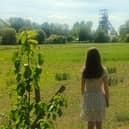 Protesters are worried that this field between Boothstown and the Lancashire Mining Museum will be developed for housing