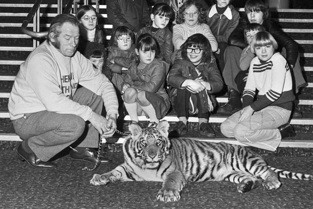 Young film enthusiasts get close to a live bengal tiger at the Ritz cinema in 1978. 