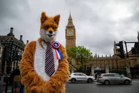 Independent candidate Rob Pownall is standing in the Makerfield by-election dressed as a fox
