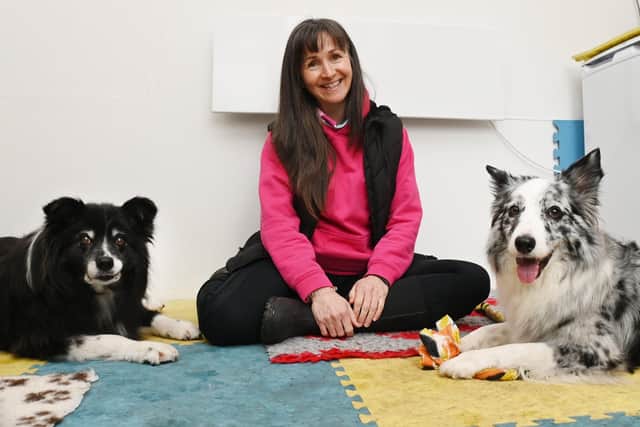 Dog trainer Jo Pay based in Standish, features on a new Channel Four programme, The Dog Academy-  pictured with her dogs Indie, left, and Twist, right.