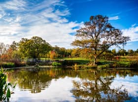 RHS Harlow Carr