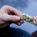 Daniel Buckley is charged with both producing and supplying cannabis