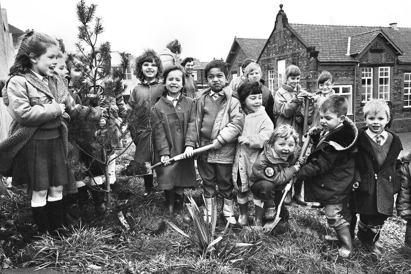 Pupils at St. Andrews Primary School, Springfield, planting trees to create a wildlife area financed by Wigan Groundwork Trust on Thursday 9th of March 1989.