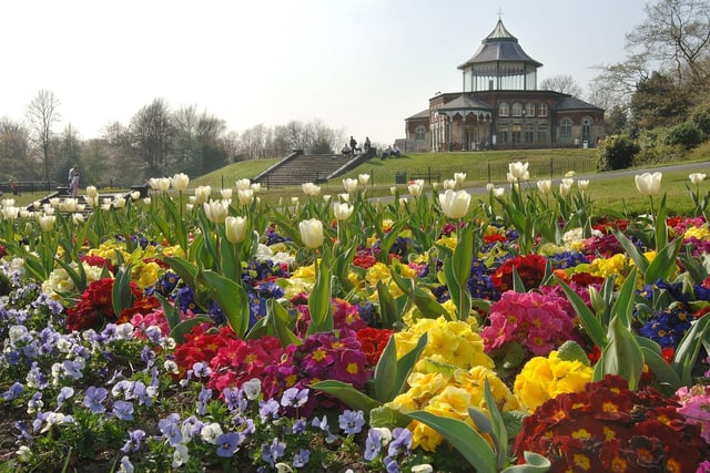 It can all depend on the spring weather as to how colourful Mesnes Park's flower beds are in April. Clearly in 2007, when this picture was taken, there had been a decent amount of sunshine in previous weeks