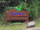 Center Parcs is a family-favourite destination for UK holidays