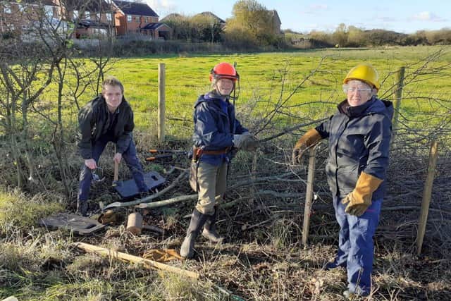 Volunteers lay hedges at Cutacre
