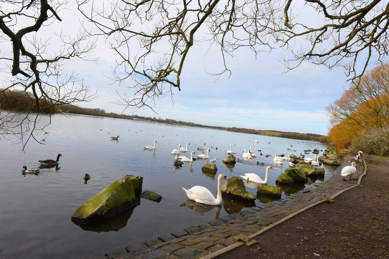 Pennington Flash and its various habitats promises to entertain the whole family.