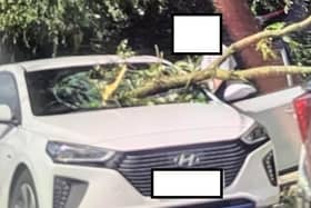 A tree fell onto the car on Warrington Lane