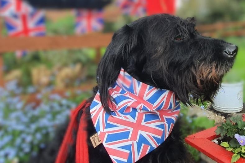 Even pets were patriotic at a street party on Heather Grove in Ashton