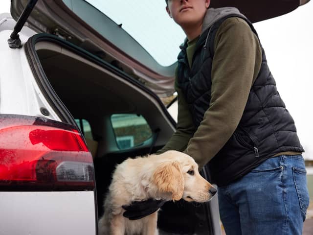 A new report has found that over 20,000 dogs have been stolen in the UK between 2014 and 2024.