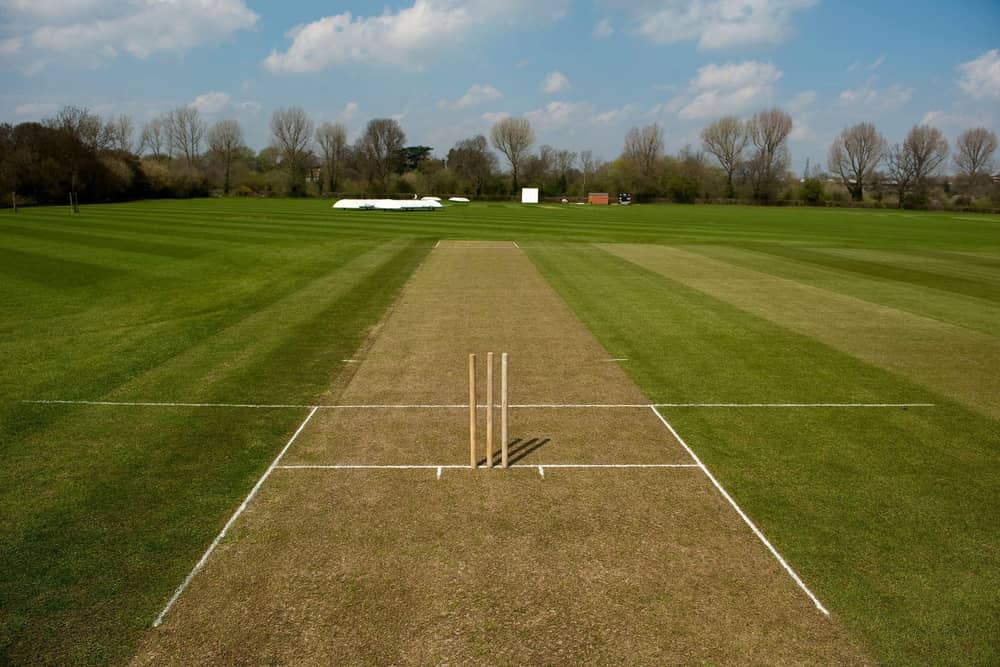 A cricket pitch in better times