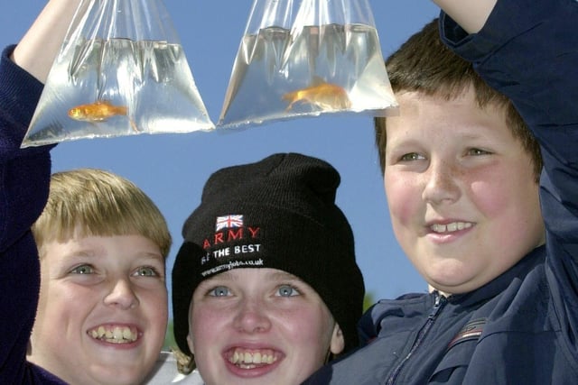 Gareth and Sarah Whitehill, 12 and 14, and Martin Clark, 12, from Newtown, with the goldfish they won at the Haigh fair -  May 2003.