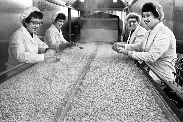 Ladies on the bean belt in the Heinz Kitt Green factory in November 1979