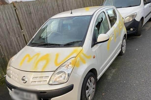 A number of cars were targeted in the vandal spree