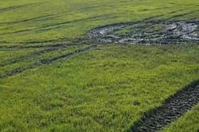 The freshly churned up Dootson's Park pitch