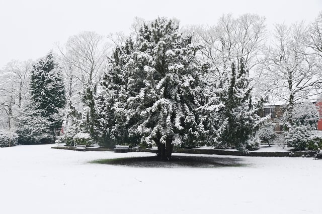 A winter scene at Jubilee Park, Ashton-in-Makerfield.
