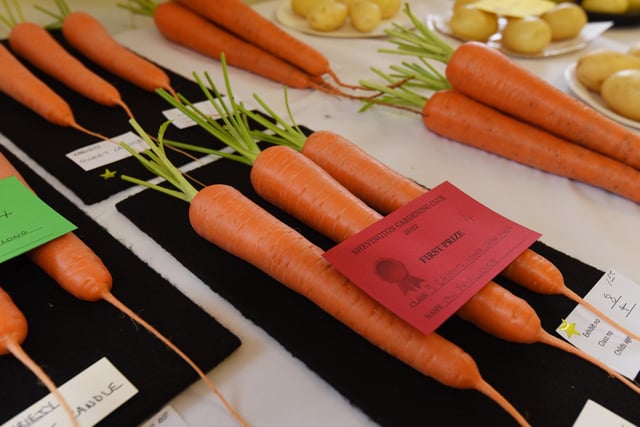 Carrots were among the vegetables entered into the show by gardeners