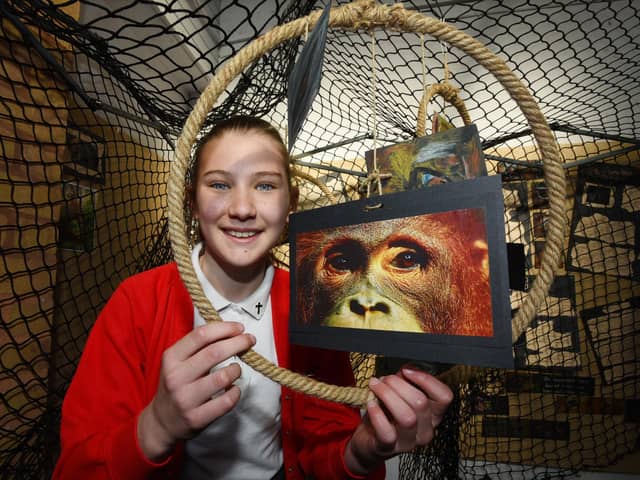 Key Stage Two pupils have been learning about endangered species and the environment.