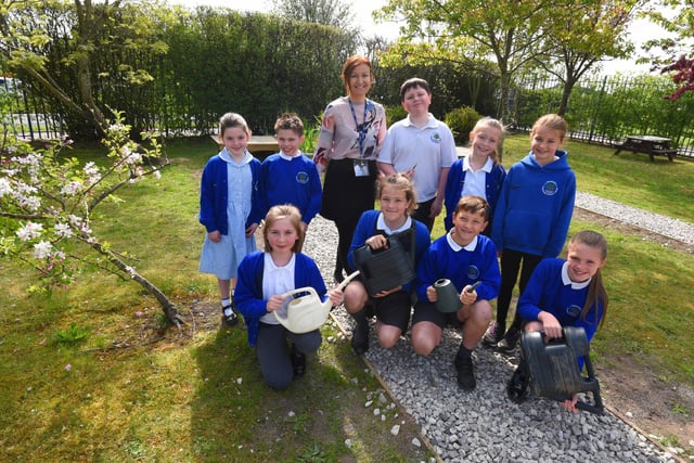 The Eco club in the Bluebell Garden, which has been developed significantly - children have planted trees, plants, fruits and vegetables and are aiming for the Green Flag award -The eco club have worked extremely hard to help us to achieve the three school eco-goals: to increase biodiversity, to tackle littering, and to improve the school grounds.