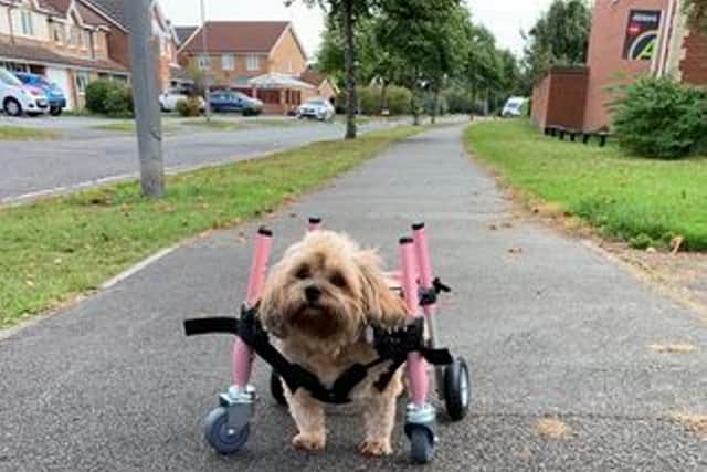 Maggie given support to walk