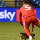 Jason Kerr rescues the Hillsborough cat