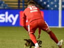 Jason Kerr rescues the Hillsborough cat
