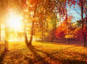 Autumn is a beautiful time of year