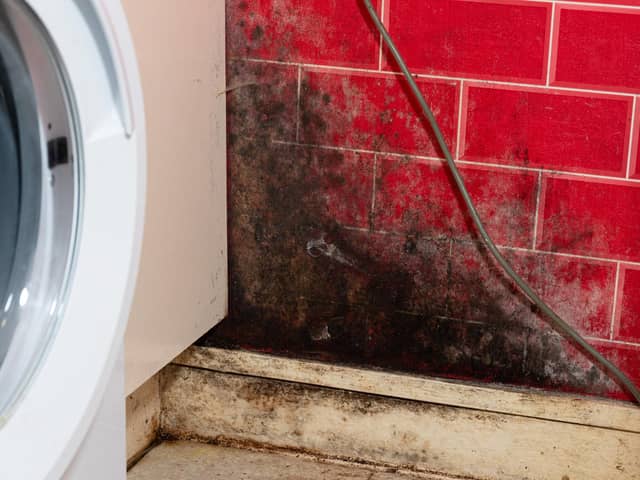 Mould and damp in a Wigan home