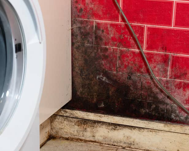 Mould and damp in a Wigan home