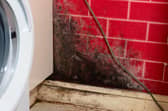 Mould and damp in a Wigan home