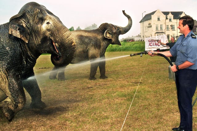 Wigan firemen are called upon to hose down elephants from Circus King who were setting up in Bickershaw during a hot summer's day on Monday 17th of June 1996.