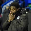 Kolo Toure has endured a miserable start to his first job in management