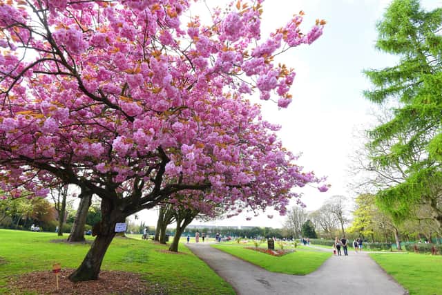 Pennington Hall Park