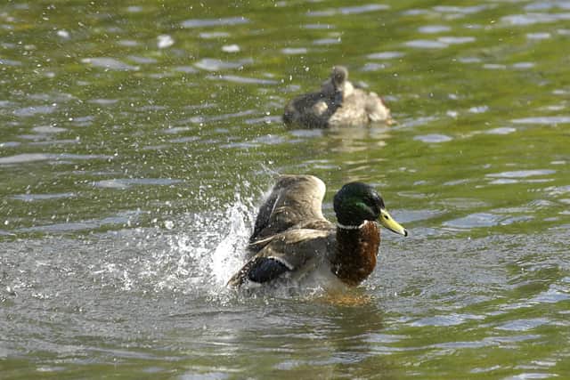 There were 171 water pollution incidents in Wigan between 2018 and 2023