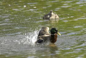 There were 171 water pollution incidents in Wigan between 2018 and 2023