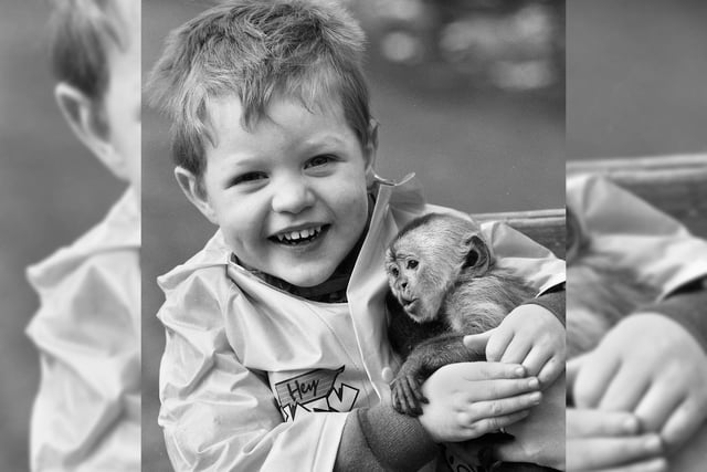 Daniel Birchinall, aged 3, cuddles Coco, a Capuchin monkey, in one of the last pictures at Haigh Zoo as its closure is announced in February 1992.