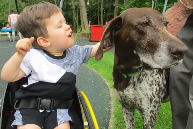 Shuna the Pets as Therapy dog at Derian House with Isaac