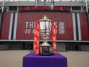 The Rugby League World Cup gets underway in October