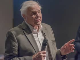 Sir David Attenborough the most sought after guest speaker (photo: Getty Images)