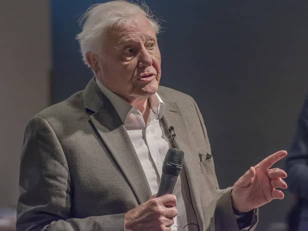 Sir David Attenborough the most sought after guest speaker (photo: Getty Images)