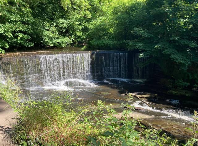 The Weir and salmon steps at Yarrow Valley Country Park