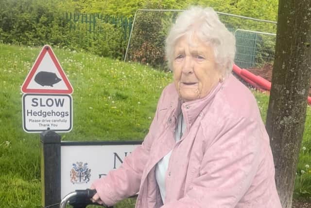 Cath Brookfield, 91, is taking on a 31-day walking challenge