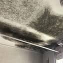 The effects of mould on a property