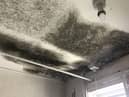 The effects of mould on a property