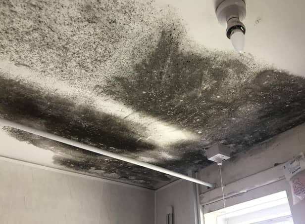 The effects of mould on a property