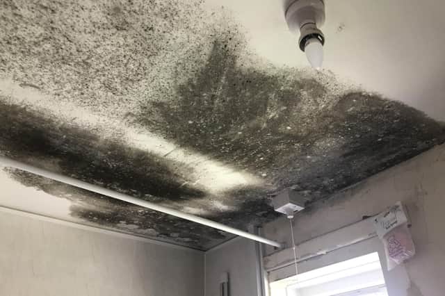 The effects of mould on a property