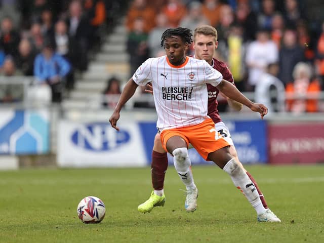 Niall Ennis flourished under the management of Ryan Lowe at Plymouth