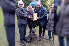 Mr Charming Teddy - awarded Best in Show.