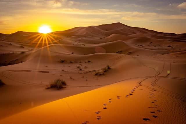 Beuatiful but inhospitable: the Sahara Desert