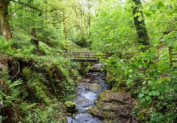 A popular beauty spot has been named as one of the top walking locations in the UK. Fairy Glen, near Appley Bridge, had seen a surge in visitor numbers since the coronavirus pandemic began, with thousands of people travelling from far and wide to enjoy the green space. It has now been ranked as the third prettiest walk in the UK in a new study by Parkdean Resorts, which looked for the best walking locations and places where 10,000 steps can be guaranteed.